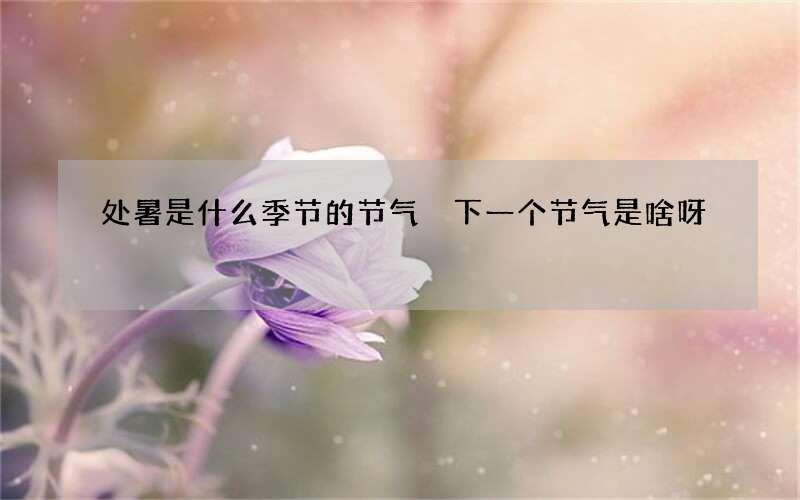 处暑是什么季节的节气 下一个节气是啥呀
